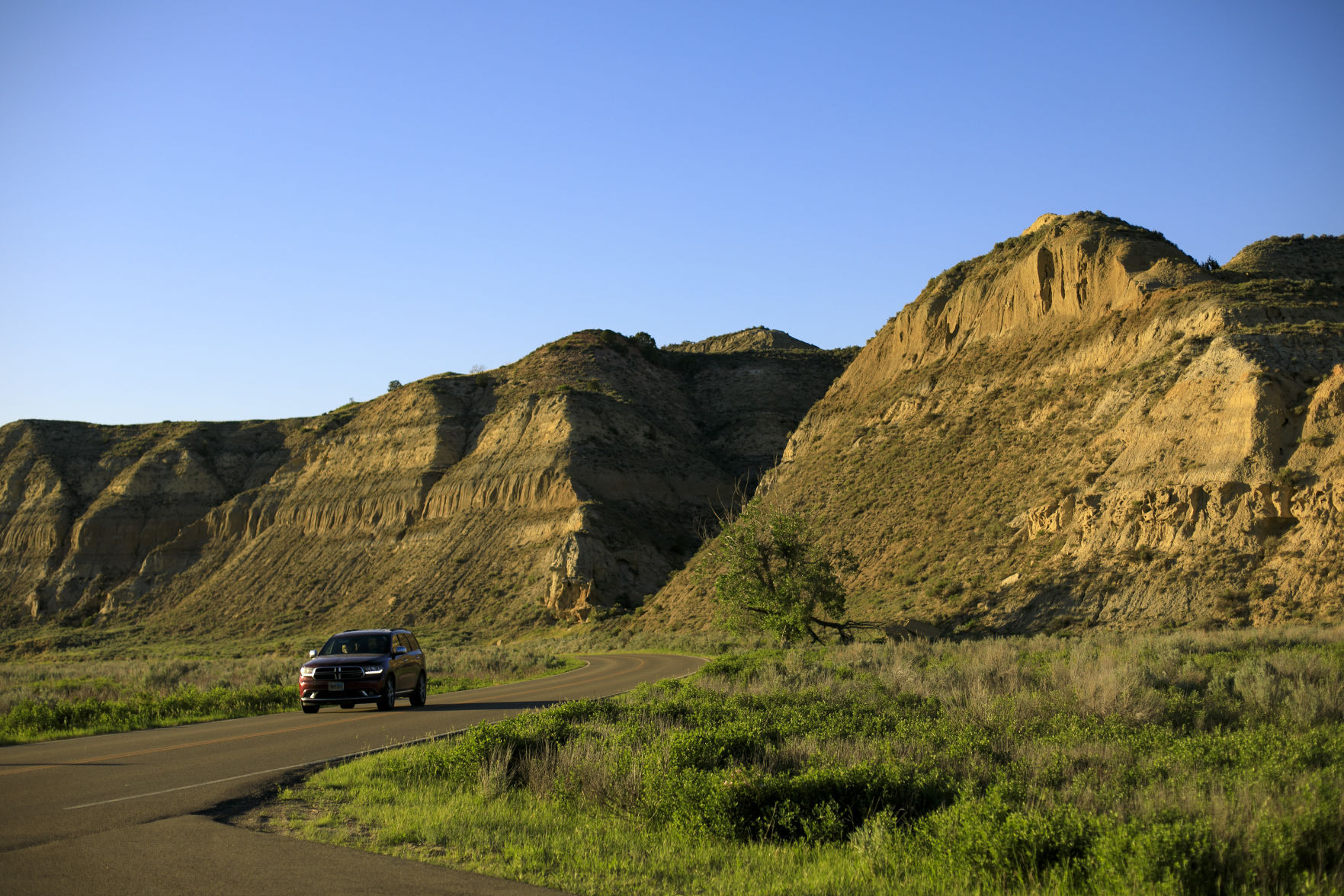 Theodore Roosevelt National Park